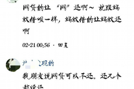 莲湖债务清欠服务